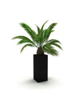 Donica 25x25x60 - czarna