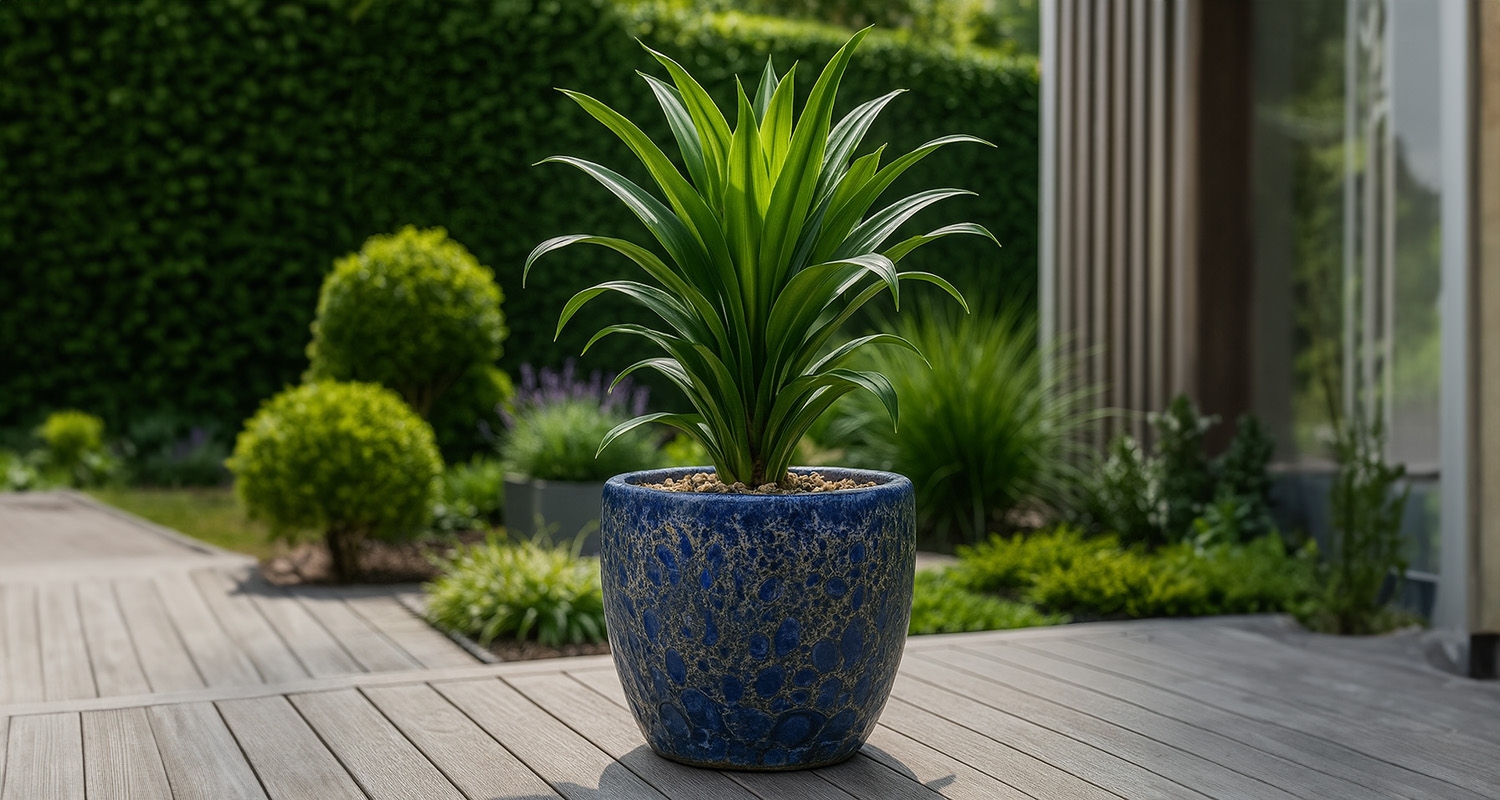 Donica Atlantis blue