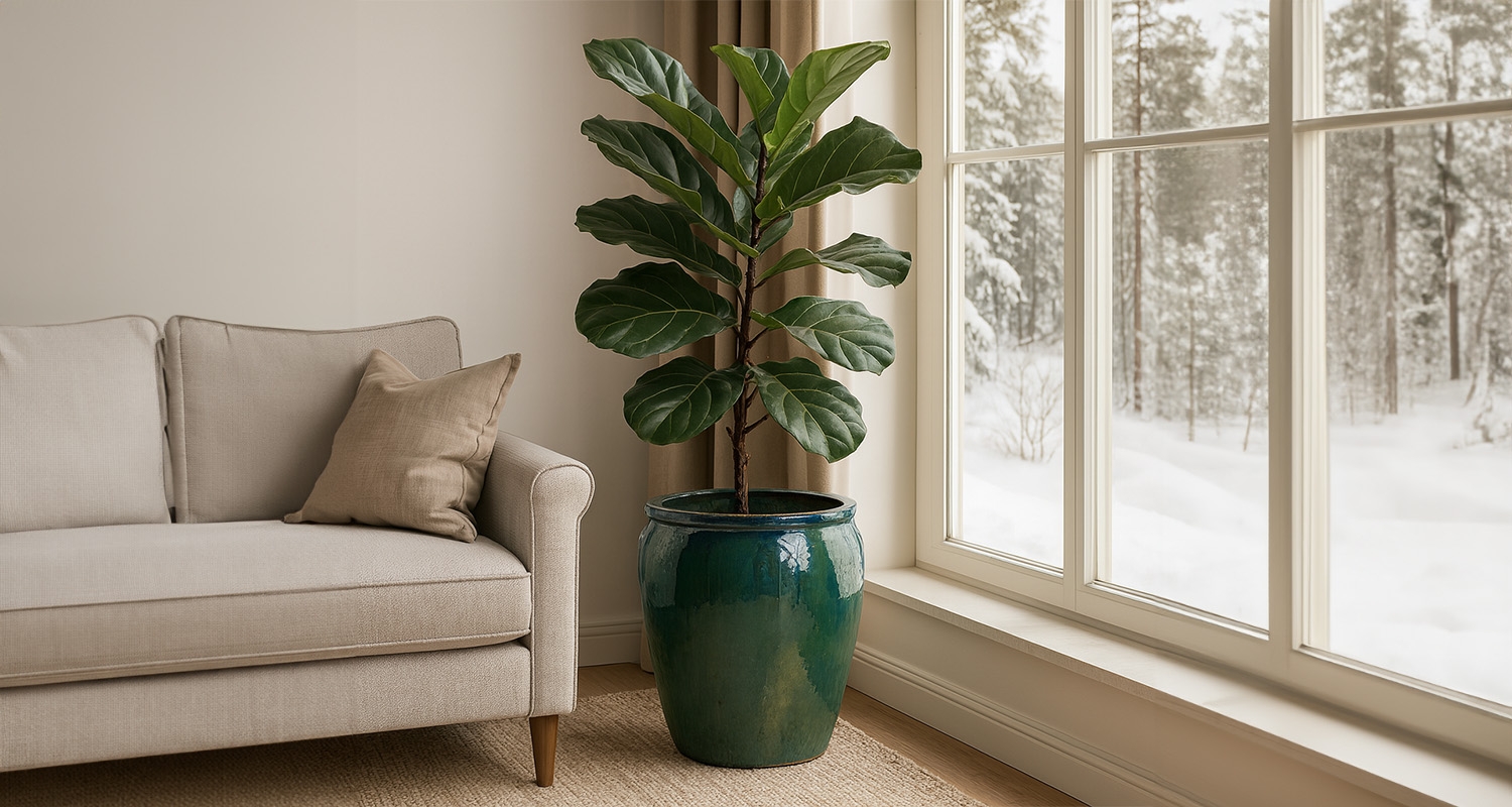 Donica ceramiczna | Glazed Dzban Duży